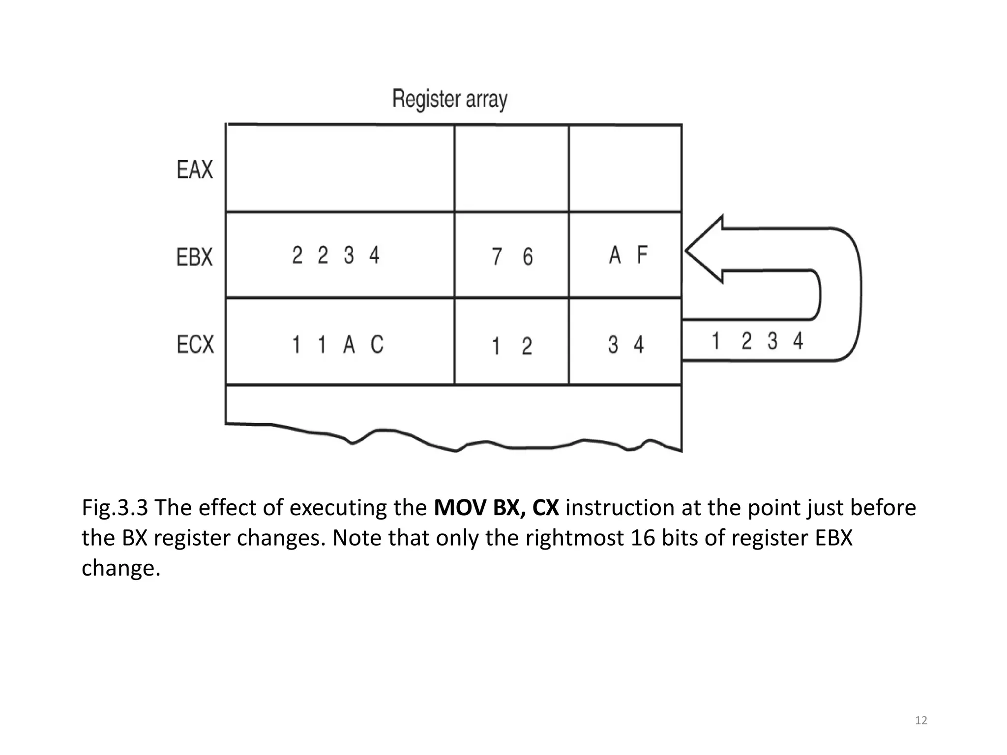 Fig.3.3 The effect of executing the MOV BX, CX instruction at the point just before
the BX register changes. Note that only the rightmost 16 bits of register EBX
change.
12
 