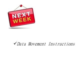 ✓Data Movement Instructions
 