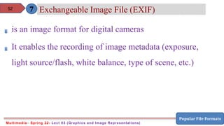 Comprehensive Overview of Graphics and Image Representations in ...