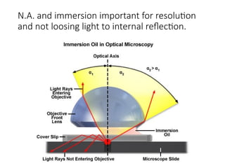 Microscope Diffraction Principles of Modern Microscopy: Understanding Diffraction and ...