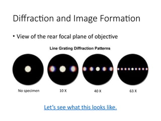 Microscope Diffraction Principles of Modern Microscopy: Understanding Diffraction and ...