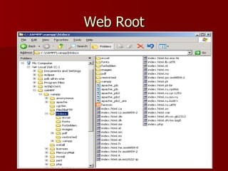 Web Root
 