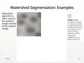 09/13/25 114
Watershed Segmentation: Examples
Watershed Segmentation: Examples
Watershed
algorithm is
often used on
the gradient
image instead
of the original
image.
 