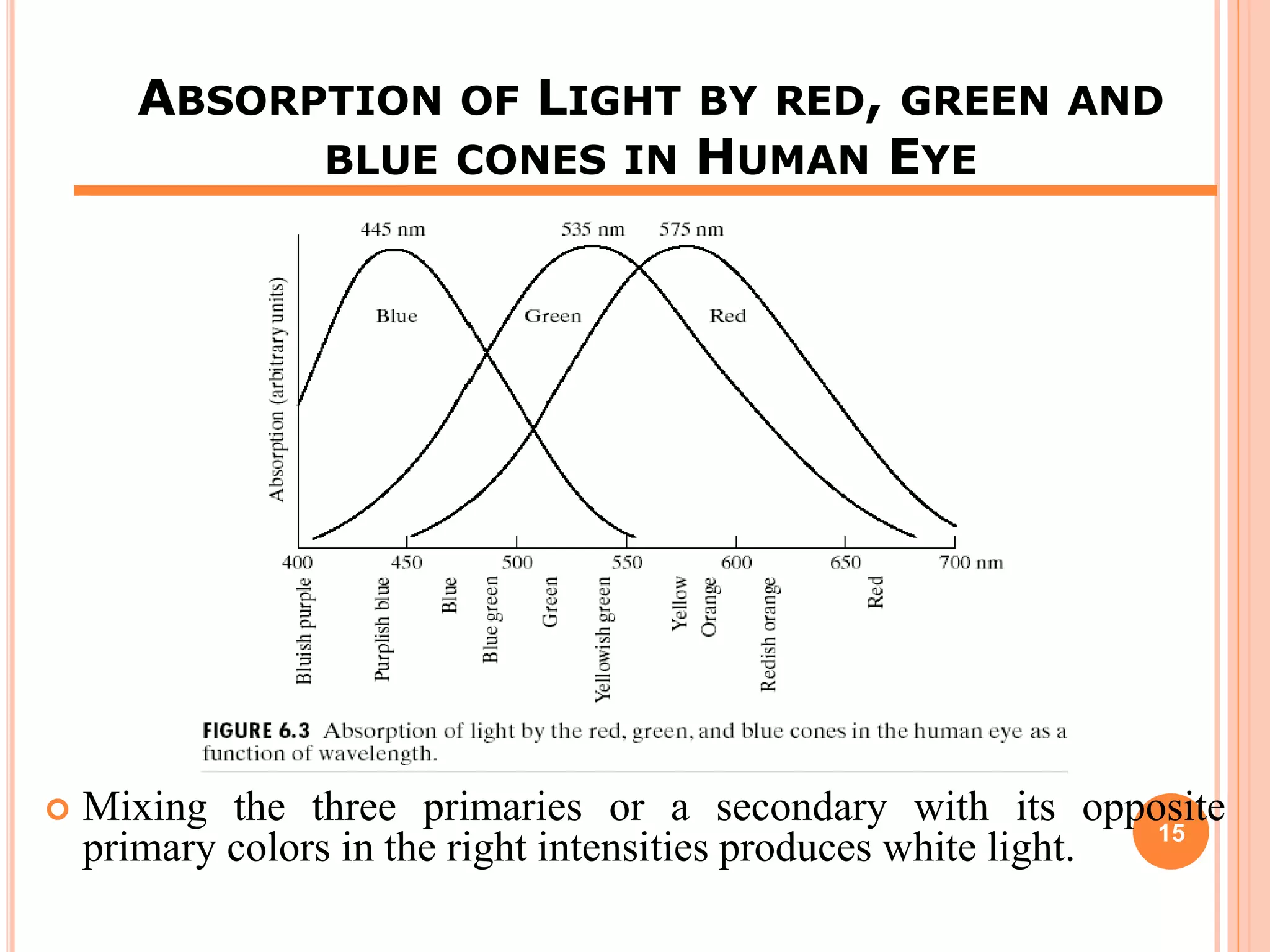 ABSORPTION OF LIGHT BY RED, GREEN AND
BLUE CONES IN HUMAN EYE
 Mixing the three primaries or a secondary with its opposite
primary colors in the right intensities produces white light. 15
 