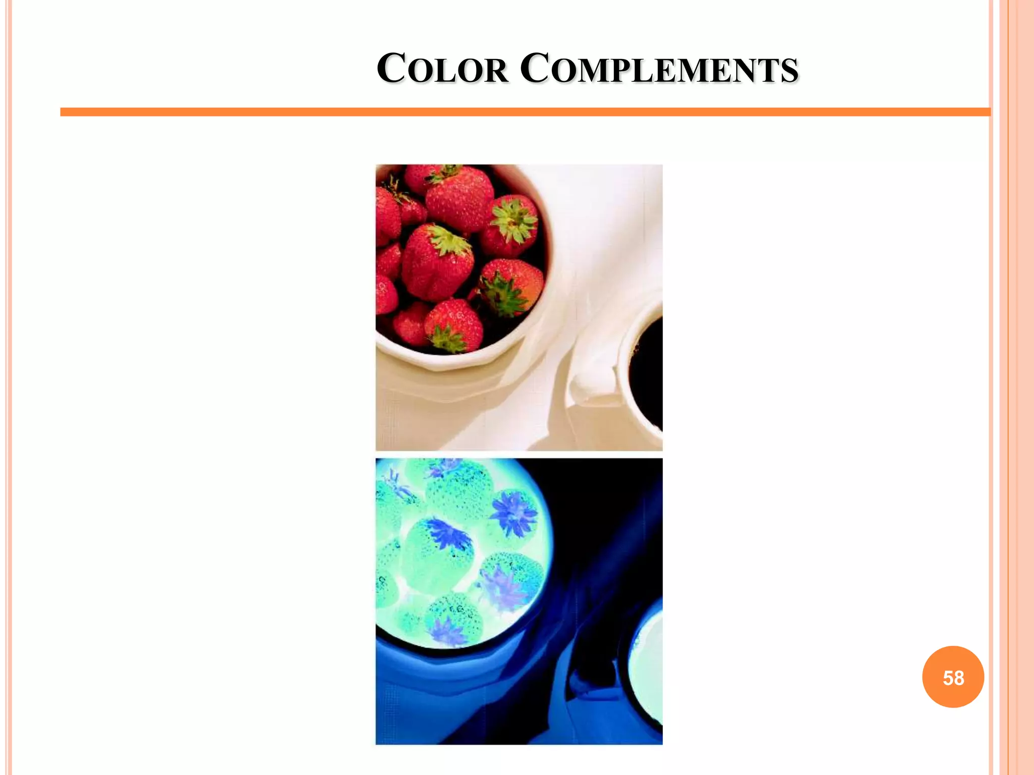 COLOR COMPLEMENTS
58
 