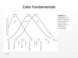 11/07/25 5
Color Fundamentals
Color Fundamentals
 