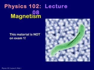 Magnetism Physics 102:   Lecture 08 This material is NOT on exam 1! 