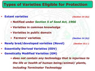  Extant varieties (Section 14 (b))
• Notified under Section 5 of Seed Act, 1966
• Varieties in common knowledge
• Varieties in public domain
• Farmers’ varieties (Section 14 (b))
 Newly bred/developed varieties (Novel) (Section 15.1 )
 Essentially Derived Varieties (EDV)
 Genetically Modified Varieties (GM)
• does not contain any technology that is injurious to
the life or health of human being/animal/ plants,
including Terminator Technology
Types of Varieties Eligible for Protection
 