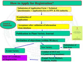Submission of Application Form + Technical
Questionnaire + Application fees to PPV & FR Authority
Acceptance after validation of information
from database
Extant Variety
New Variety
Issue of Certificate
of Registration
Conduct of DUS test
( 2 years at two locations)
Found Novel, Distinct,
Uniform, Stable
Examination of
Application
Submission of
Test Fees
How to Apply for Registration?
Publication in Plant Variety Journal
Invitation of objections (within 90 days)
Process of
Registration
 