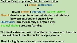DNA purification: phenol/chloroform extraction
1:1 phenol : chloroform
or
25:24:1 phenol : chloroform : isoamyl alcohol
Phenol: denatures proteins, precipitates form at interface
between aqueous and organic layer
Chloroform: increases density of organic layer
Isoamyl alcohol: prevents foaming
The final extraction with chloroform removes any lingering
traces of phenol from the nucleic acid preparation.
Phenol is highly corrosive and can cause severe burns.
 