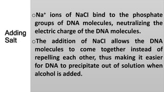 Adding
Salt
oNa+ ions of NaCI bind to the phosphate
groups of DNA molecules, neutralizing the
electric charge of the DNA molecules.
oThe addition of NaCI allows the DNA
molecules to come together instead of
repelling each other, thus making it easier
for DNA to precipitate out of solution when
alcohol is added.
 
