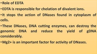 •Role of EDTA
•EDTA is responsible for chelation of divalent ions.
•It stops the action of DNases found in cytoplasm of
cells.
•These DNases, DNA cutting enzymes, can destroy the
genomic DNA and reduce the yield of gDNA
considerably.
•Mg2+ is an important factor for activity of DNases.
 