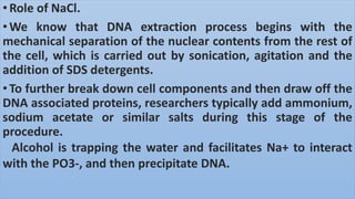 •Role of NaCl.
•We know that DNA extraction process begins with the
mechanical separation of the nuclear contents from the rest of
the cell, which is carried out by sonication, agitation and the
addition of SDS detergents.
•To further break down cell components and then draw off the
DNA associated proteins, researchers typically add ammonium,
sodium acetate or similar salts during this stage of the
procedure.
Alcohol is trapping the water and facilitates Na+ to interact
with the PO3-, and then precipitate DNA.
 