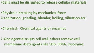 •Cells must be disrupted to release cellular materials
•Physical : breaking by mechanical force
sonication, grinding, blender, boiling, vibration etc.
•Chemical: Chemical agents or enzymes
One agent disrupts cell wall others remove cell
membrane -Detergents like SDS, EDTA, Lysozyme.
 