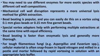 • You may need to use different enzymes for more exotic species with
different cell wall compositions.
• Mechanical cell wall disruption represents a more universal lysis
method for gDNA extraction.
• Bead beating is popular, and you can easily do this on a vortex using
0.1 mm glass beads or 0.15 mm fine garnet beads.
• Special vortex adapters help with performing multiple extractions at
the same time with equal efficiency.
• Bead beating is faster than enzymatic lysis and generally more
thorough.
• For tough filamentous fungi (e.g. Aspergillus and Fusarium spp.),
cellular material is often snap-frozen in liquid nitrogen and milled in a
pestle and mortar followed by rapid vortexing in solution with an
appropriate lysis buffer.
 