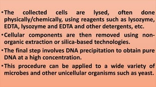 •The collected cells are lysed, often done
physically/chemically, using reagents such as lysozyme,
EDTA, lysozyme and EDTA and other detergents, etc.
•Cellular components are then removed using non-
organic extraction or silica-based technologies.
•The final step involves DNA precipitation to obtain pure
DNA at a high concentration.
•This procedure can be applied to a wide variety of
microbes and other unicellular organisms such as yeast.
 