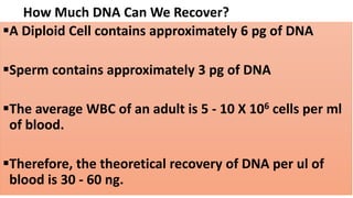 How Much DNA Can We Recover?
A Diploid Cell contains approximately 6 pg of DNA
Sperm contains approximately 3 pg of DNA
The average WBC of an adult is 5 - 10 X 106 cells per ml
of blood.
Therefore, the theoretical recovery of DNA per ul of
blood is 30 - 60 ng.
 