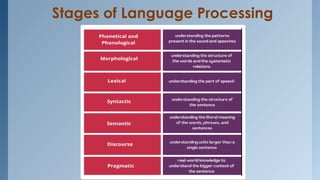 Stages of Language Processing
 