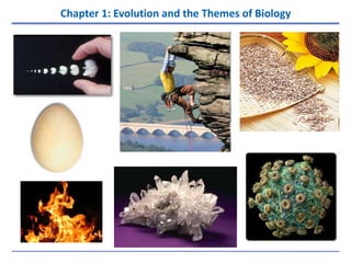Chapter 1: Evolution and the Themes of Biology | PPT