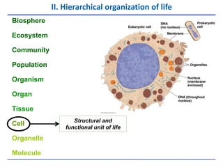 Chapter 1: Evolution and the Themes of Biology | PPTX