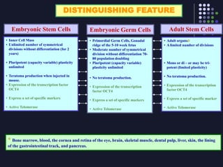Lect 1- INTRODUCTION TO STEM CELLS.ppt