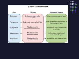 Lect 1- INTRODUCTION TO STEM CELLS.ppt