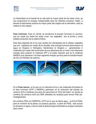  
La fotosíntesis es la fuente de la vida para la mayor parte de los seres vivos, ya
que proporciona la energía indispensable para los distintos procesos vitales, a
demás la fotosíntesis produce la mayor parte del oxigeno de la atmosfera, esta se
realiza en dos etapas:
Fase luminosa. Fase en donde se transforma la energía luminosa en química:
que es usada por todos los seres vivos. Los vegetales son el primer y único
eslabón productor de la cadena trófica.
Esta fase depende de la luz que reciben los cloroplastos de la células vegetales
que son captados por medio de la clorofila, esta energía lumínica descompone el
agua en Oxigeno e Hidrogeno, liberándose el Oxigeno y generándose 2
moléculas por medio del movimiento de sus electrones de un nivel a otro liberando
energía para producir la molécula ATP y el poder reductor que es la molécula
NADPH2 que aportaran a la fase siguiente energía química para la transformación
de CO2 en Hidratos de carbono.
En la Fase oscura en la que ya no interviene la luz y las moléculas formadas en
la fase luminosa (ATP y NADPH2) participan en la reducción del bióxido de
carbono (CO2) mediante una serie de reacciones el “Ciclo de Calvin” en donde se
combina Se combina CO2 con RDP (difosfato de ribulosa) para formar PGA (ác.
Fosfoglicérido)
Se combina PGA con NADPH2 y ATP por lo que se libera agua, se forma PGAL
para la nutrición de la planta, se produce glucosa a partir de PGAL, este azúcar
se disuelve en agua y recorre toda la planta proporcionándole la energía necesaria
para crecer
 
