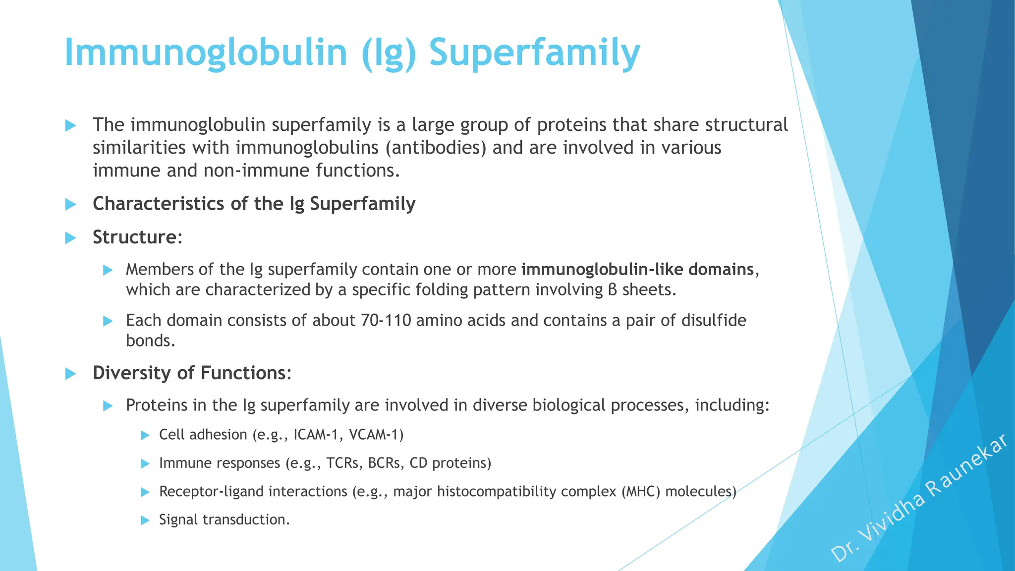 Immunoglobulin (Ig) Superfamily
 The immunoglobulin superfamily is a large group of proteins that share structural
similarities with immunoglobulins (antibodies) and are involved in various
immune and non-immune functions.
 Characteristics of the Ig Superfamily
 Structure:
 Members of the Ig superfamily contain one or more immunoglobulin-like domains,
which are characterized by a specific folding pattern involving β sheets.
 Each domain consists of about 70-110 amino acids and contains a pair of disulfide
bonds.
 Diversity of Functions:
 Proteins in the Ig superfamily are involved in diverse biological processes, including:
 Cell adhesion (e.g., ICAM-1, VCAM-1)
 Immune responses (e.g., TCRs, BCRs, CD proteins)
 Receptor-ligand interactions (e.g., major histocompatibility complex (MHC) molecules)
 Signal transduction.
 