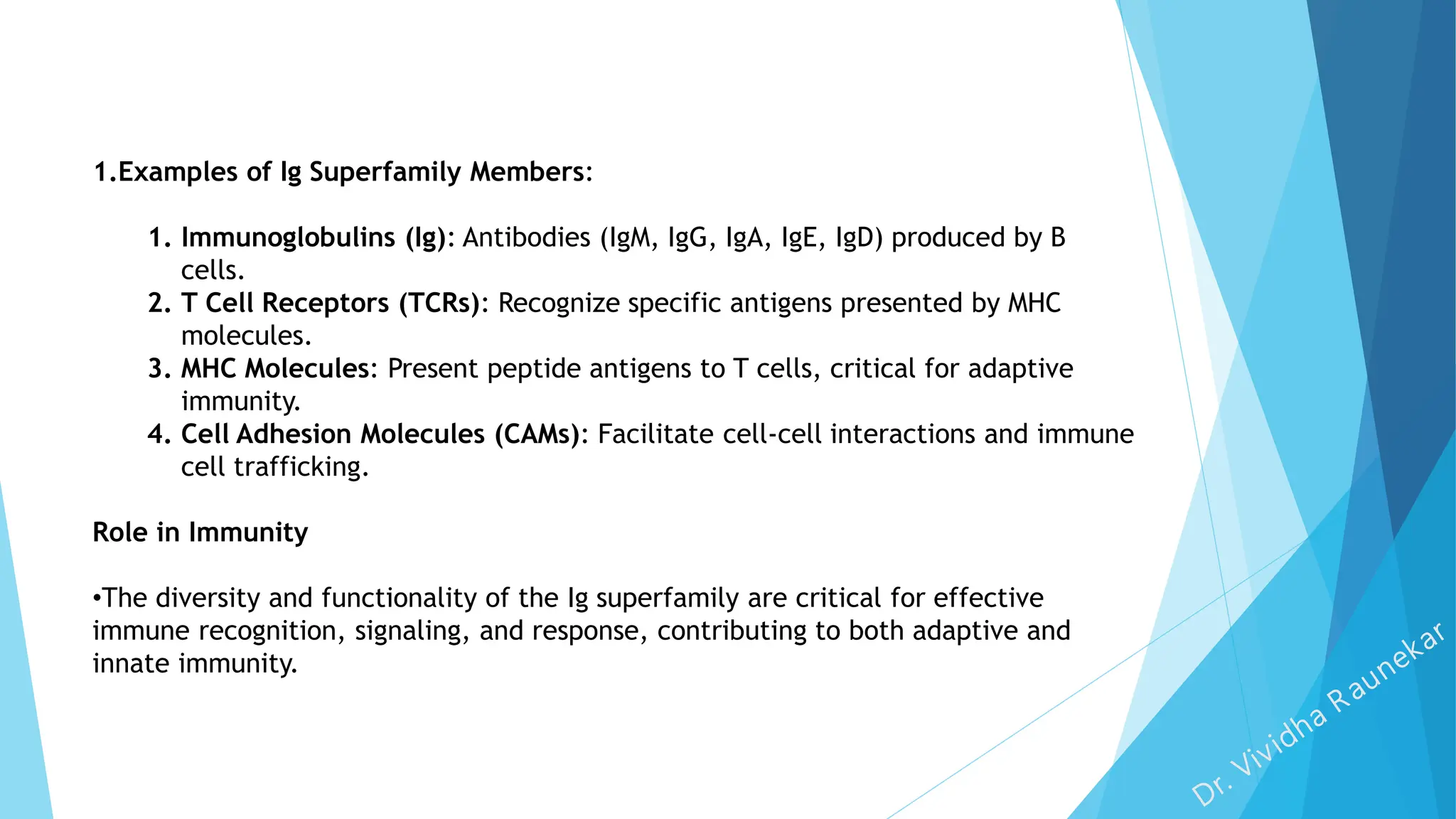 1.Examples of Ig Superfamily Members:
1. Immunoglobulins (Ig): Antibodies (IgM, IgG, IgA, IgE, IgD) produced by B
cells.
2. T Cell Receptors (TCRs): Recognize specific antigens presented by MHC
molecules.
3. MHC Molecules: Present peptide antigens to T cells, critical for adaptive
immunity.
4. Cell Adhesion Molecules (CAMs): Facilitate cell-cell interactions and immune
cell trafficking.
Role in Immunity
•The diversity and functionality of the Ig superfamily are critical for effective
immune recognition, signaling, and response, contributing to both adaptive and
innate immunity.
 