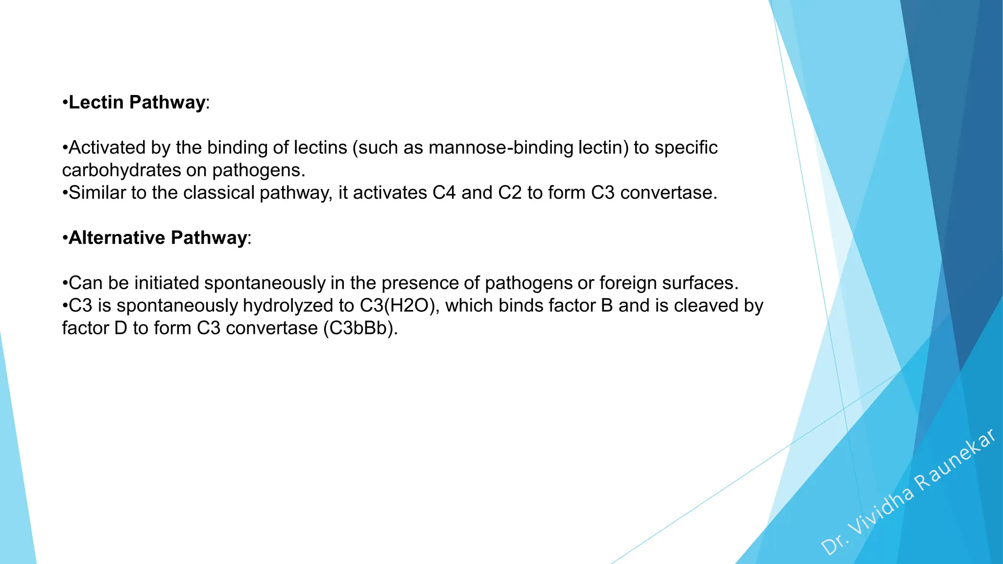 •Lectin Pathway:
•Activated by the binding of lectins (such as mannose-binding lectin) to specific
carbohydrates on pathogens.
•Similar to the classical pathway, it activates C4 and C2 to form C3 convertase.
•Alternative Pathway:
•Can be initiated spontaneously in the presence of pathogens or foreign surfaces.
•C3 is spontaneously hydrolyzed to C3(H2O), which binds factor B and is cleaved by
factor D to form C3 convertase (C3bBb).
 