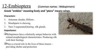 Lect 11 Insect orders-6-15-1.......... pptx | PPTX