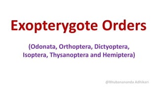 Exopterygote Orders
(Odonata, Orthoptera, Dictyoptera,
Isoptera, Thysanoptera and Hemiptera)
@Bhubanananda Adhikari
 