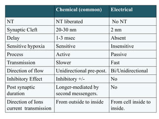 Chemical (common) Electrical
NT NT liberated No NT
Synaptic Cleft 20-30 nm 2 nm
Delay 1-3 msec Absent
Sensitive hypoxia Sensitive Insensitive
Process Active Passive
Transmission Slower Fast
Direction of flow Unidirectional pre-post. Bi/Unidirectional
Inhibitory Effect Inhibitory +/- No
Post synaptic
duration
Longer-mediated by
second messengers.
No
Direction of Ions
current transmission
From outside to inside From cell inside to
inside.
 