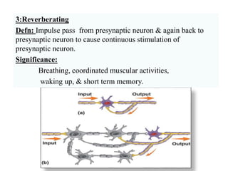 3:Reverberating
Defn: Impulse pass from presynaptic neuron & again back to
presynaptic neuron to cause continuous stimulation of
presynaptic neuron.
Significance:
Breathing, coordinated muscular activities,
waking up, & short term memory.
 