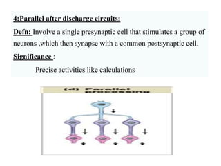 4:Parallel after discharge circuits:
Defn: Involve a single presynaptic cell that stimulates a group of
neurons ,which then synapse with a common postsynaptic cell.
Significance :
Precise activities like calculations
 