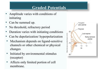 Graded Potentials
• Amplitude varies with conditions of
initiating
• Can be summed up.
• No threshold, refractory period
• Duration varies with initiating conditions
• Can be depolarization/ hyperpolarization
• Mechanism depends on ligand-sensitive
channels or other chemical or physical
changes
• Initiated by environmental stimulus
(receptor)
• Affects only limited portion of cell
membrane.
 
