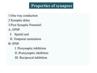 1:One way conduction
2:Synaptic delay
3:Post Synaptic Potential:
A: EPSP
I: Spatial and
II: Temporal summation
B: IPSP:
I :Presynaptic inhibition
II :Postsynaptic inhibition
III :Reciprocal inhibition
Properties of synapses
 