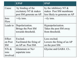 EPSP IPSP
Cause by binding of the
excitatory NT & makes
post SM generate an AP.
by the inhibitory NT &
makes Post SM membrane
less likely to generate an AP
Ions
Flow
+vly ions. –vly ions.
Leads to Depolarization.
Brings the Post SM
towards threshold.
Hyperpolarization.
Takes the post SM away
from threshold.
Effect
on Post
SM
Excited.
Facilitated the firing of
an AP on Post SM.
Less excited.
Lowers the firing of an AP
on the post SM.
NTs &
ions
involved
Glutamate or Na+
aspartate ions
Glycine and GABA Cl-.
 