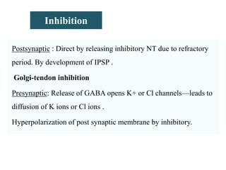 Inhibition
Postsynaptic : Direct by releasing inhibitory NT due to refractory
period. By development of IPSP .
Golgi-tendon inhibition
Presynaptic: Release of GABA opens K+ or Cl channels—leads to
diffusion of K ions or Cl ions .
Hyperpolarization of post synaptic membrane by inhibitory.
 