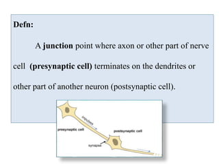 Defn:
A junction point where axon or other part of nerve
cell (presynaptic cell) terminates on the dendrites or
other part of another neuron (postsynaptic cell).
 