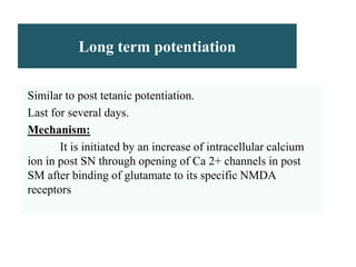 Long term potentiation
Similar to post tetanic potentiation.
Last for several days.
Mechanism:
It is initiated by an increase of intracellular calcium
ion in post SN through opening of Ca 2+ channels in post
SM after binding of glutamate to its specific NMDA
receptors
 