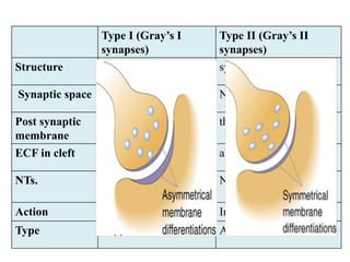 Type I (Gray’s I
synapses)
Type II (Gray’s II
synapses)
Structure Asymmetric symmetric
Synaptic space wide Narrow
Post synaptic
membrane
thickened thin
ECF in cleft present absent
NTs. NT:5HT,Glutamate,
NE,E,DOPA
NT GABA,Glycine
Action Excitatory Inhibitory
Type Axo-dendritic Axo-somatic
 
