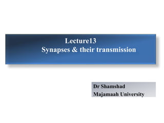 Lecture13
Synapses & their transmission
Dr Shamshad
Majamaah University
 