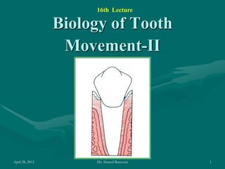 16th Lecture

Biology of Tooth
Movement-II

April 28, 2012

Dr. Ahmed Basyouni

1

 
