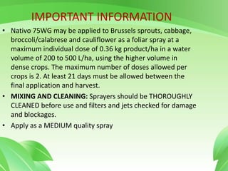IMPORTANT INFORMATION
• Nativo 75WG may be applied to Brussels sprouts, cabbage,
broccoli/calabrese and cauliflower as a foliar spray at a
maximum individual dose of 0.36 kg product/ha in a water
volume of 200 to 500 L/ha, using the higher volume in
dense crops. The maximum number of doses allowed per
crops is 2. At least 21 days must be allowed between the
final application and harvest.
• MIXING AND CLEANING: Sprayers should be THOROUGHLY
CLEANED before use and filters and jets checked for damage
and blockages.
• Apply as a MEDIUM quality spray
 
