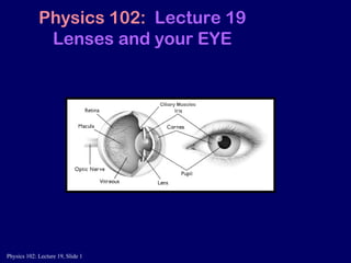 Physics 102:  Lecture 19 Lenses and your EYE Ciliary Muscles 