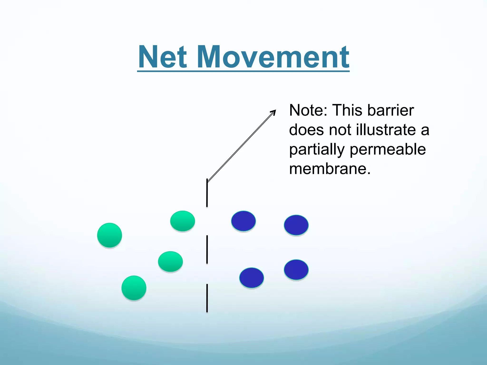Net Movement 
Note: This barrier 
does not illustrate a 
partially permeable 
membrane. 
 