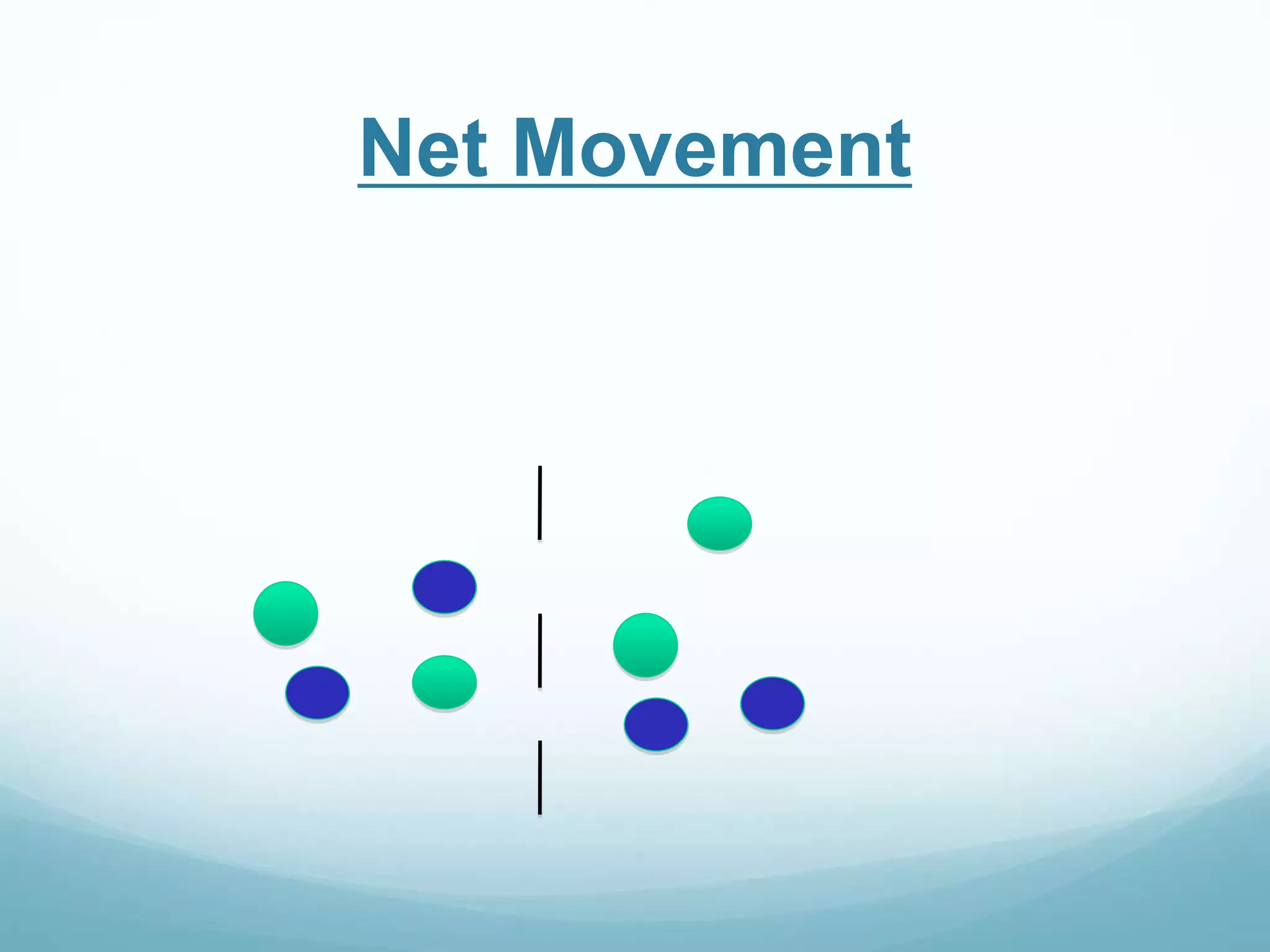 Net Movement 
 