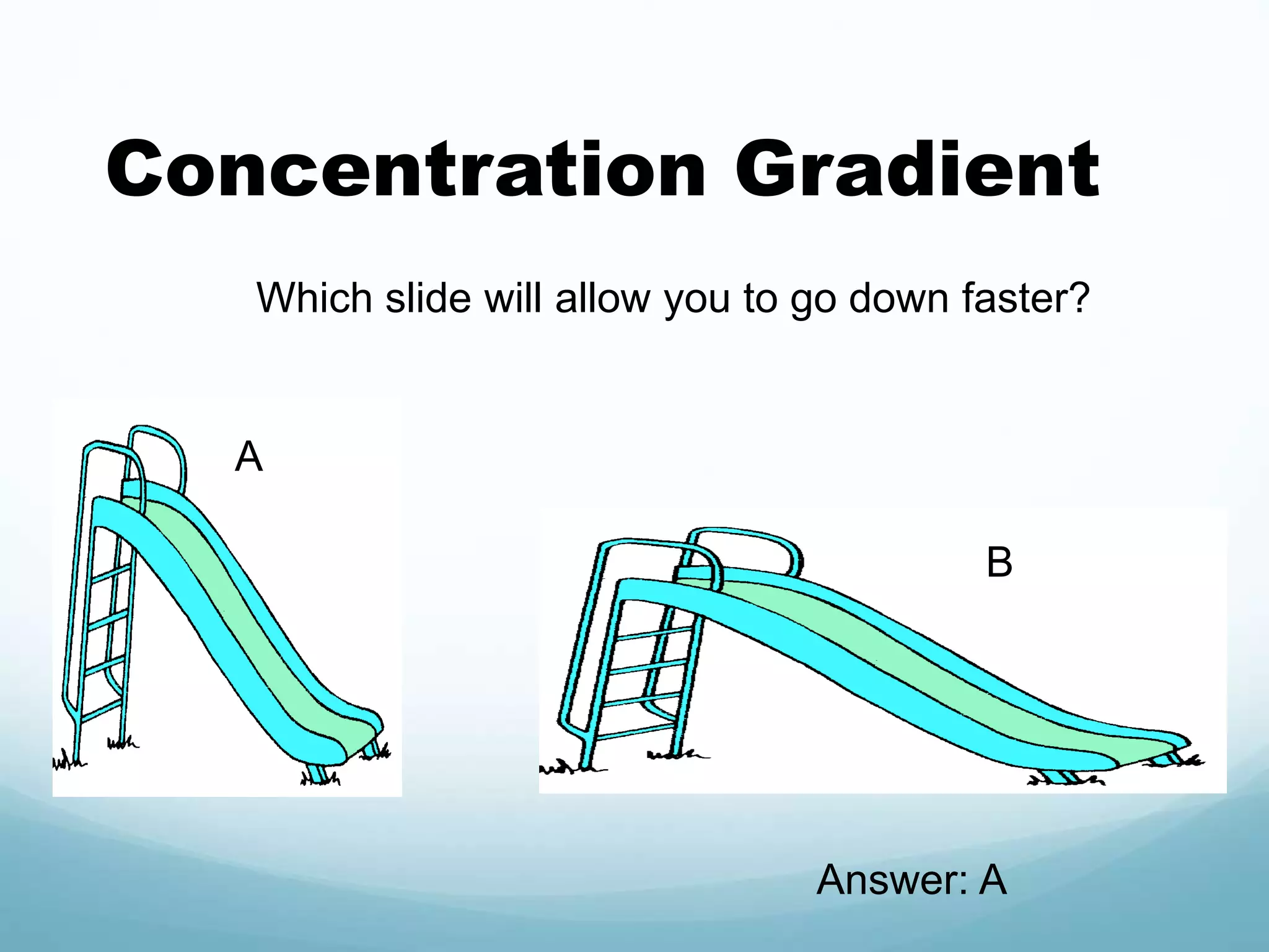 Concentration Gradient 
Which slide will allow you to go down faster? 
A 
B 
Answer: A 
 