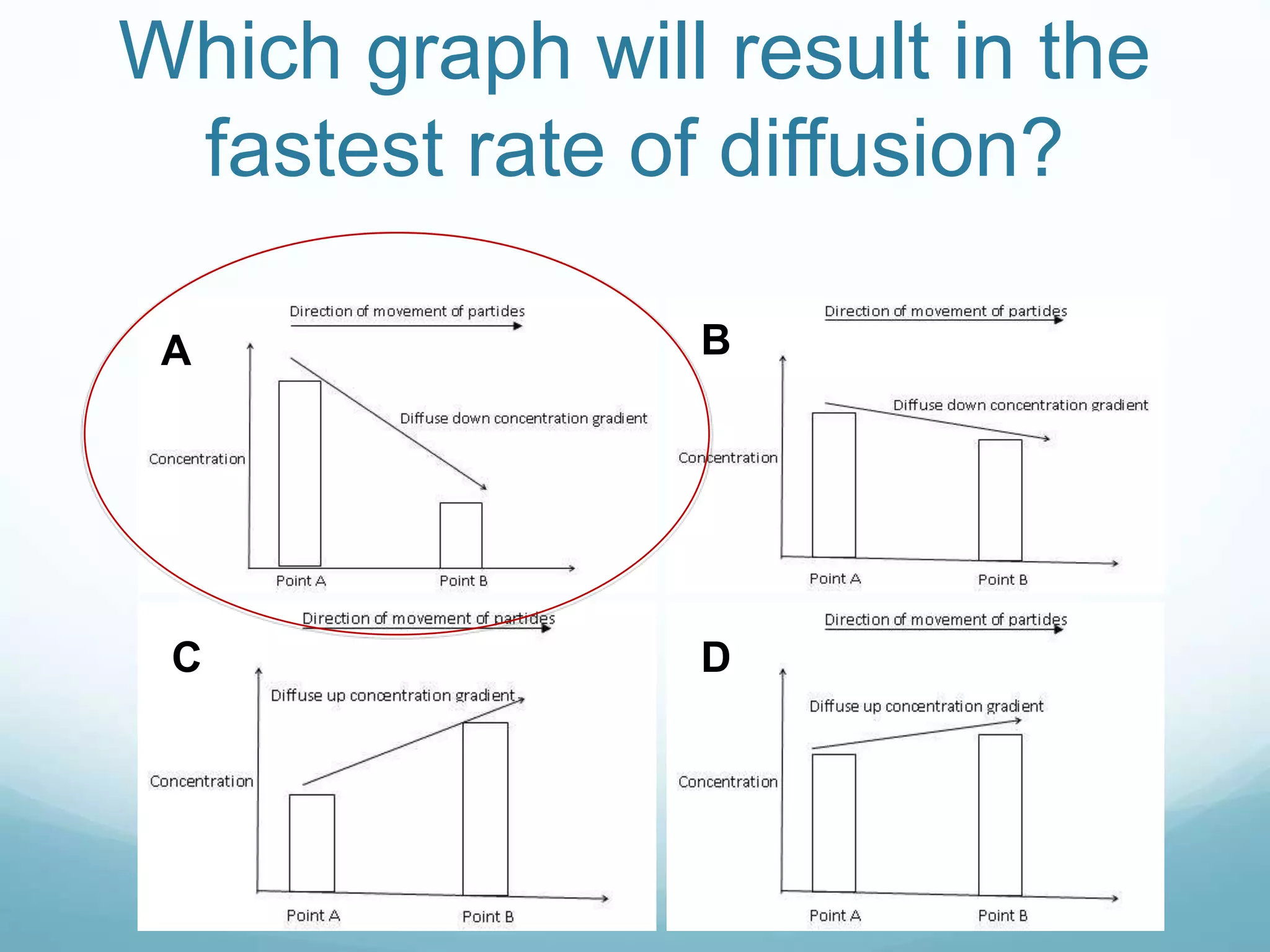 Which graph will result in the 
fastest rate of diffusion? 
A B 
C D 
 